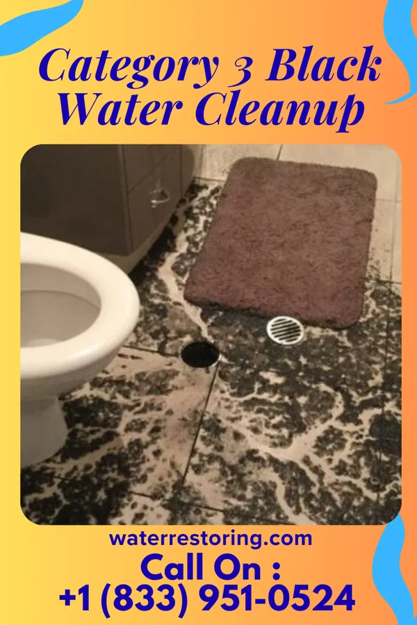 Category 3 Black Water Cleanup in Sister Bay, WI