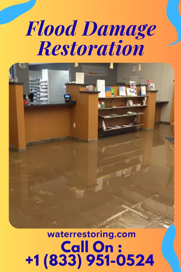 Flood Damage Restoration in Sister Bay, WI