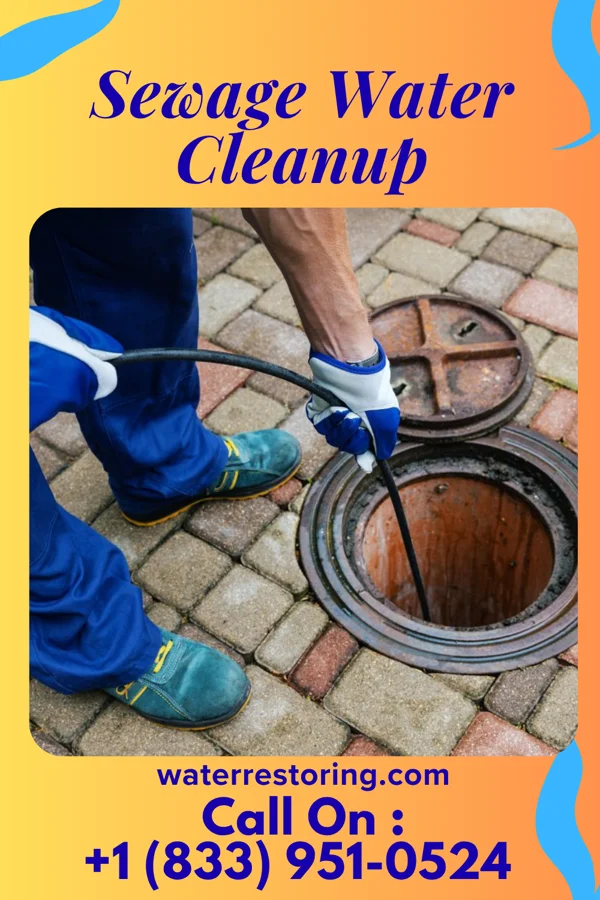 Sewage Water Cleanup in Sister Bay, WI