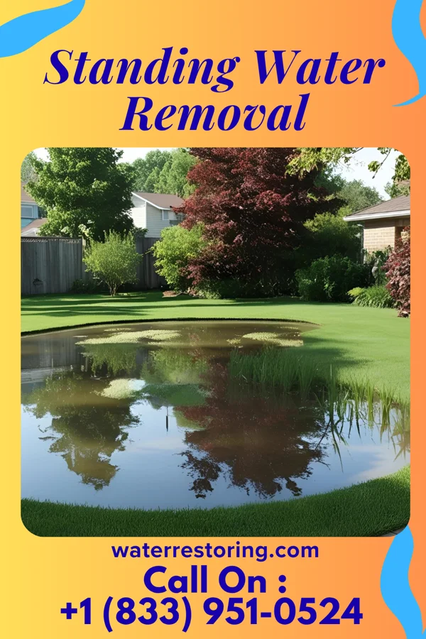 Standing Water Removal in Sister Bay, WI